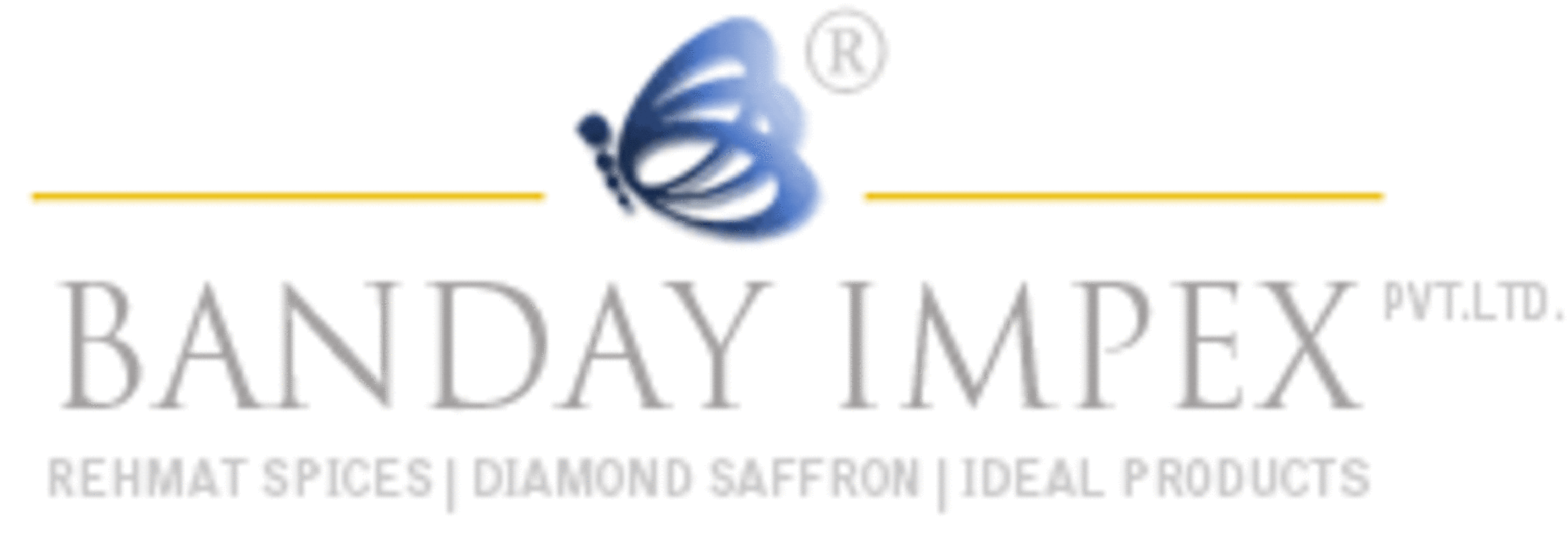 Baid Impex Pvt Ltd logo